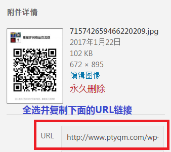 ptyqm