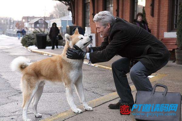忠犬八公的故事