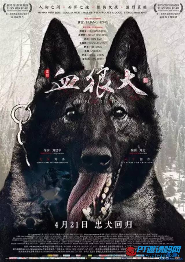 2017年4月国内上映电影综述