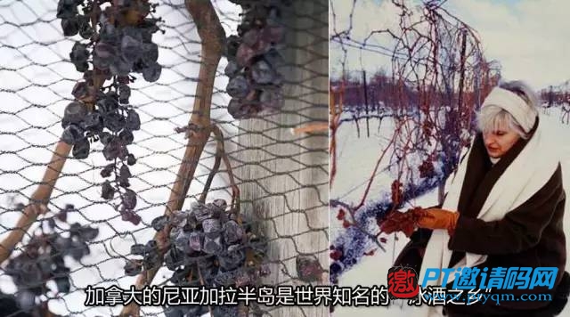 【第一篇】站在世界HIFI之巅:著名品牌麦景图McIntosh美国探访之旅