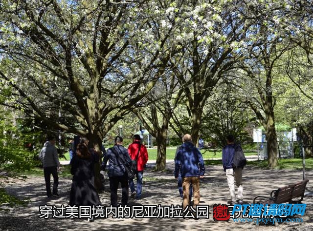 【第二篇】站在世界HIFI之巅:著名品牌麦景图McIntosh美国探访之旅