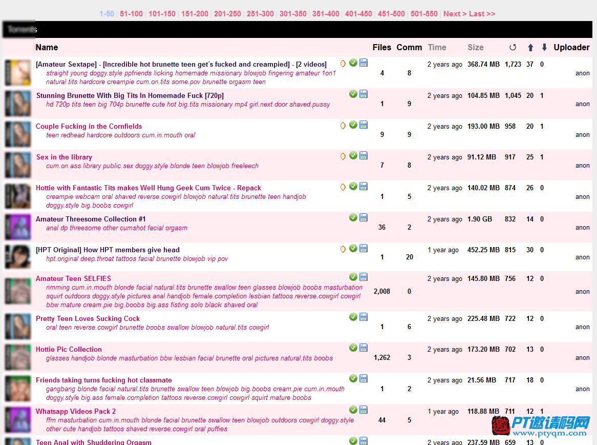 HomePornTorrents (HPT)