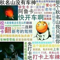 NAS怎么物尽其用 | 5种下载方法,超乎你想像
